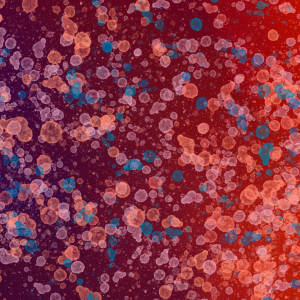 591172445_18115194505581719_7125918686033022455_n