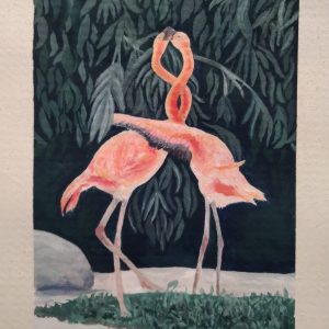 Flamingos