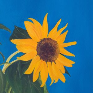 Sunflower for Ukraine, acrylic on paper, 27,5x20,2cm