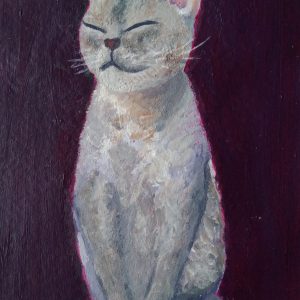 cat