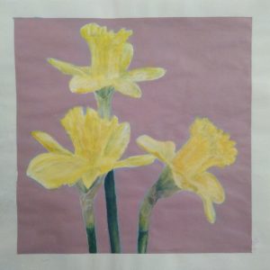 daffodil