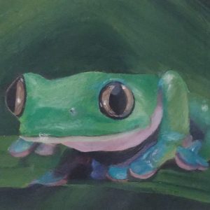 frog