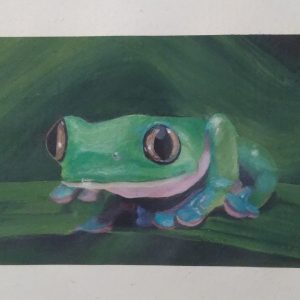 frog_sketchbook