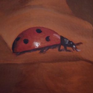 ladybug