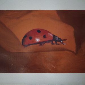 ladybug_sketchbook