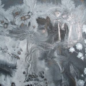 „Frostwald“, Fotografie, 21 x 29,7 cm